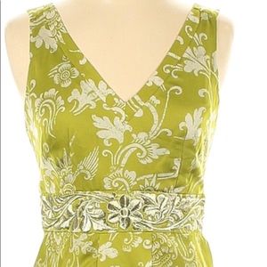 NWT, Anthropologie 100%silk Green Garden dress. Size 6.